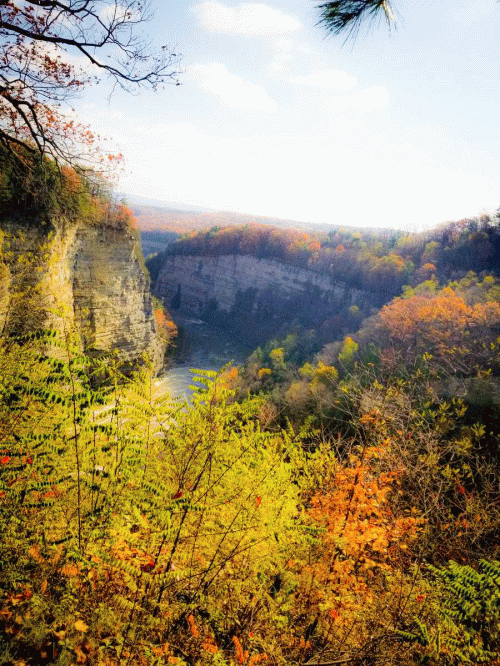 Stars And Shadow : Demo I